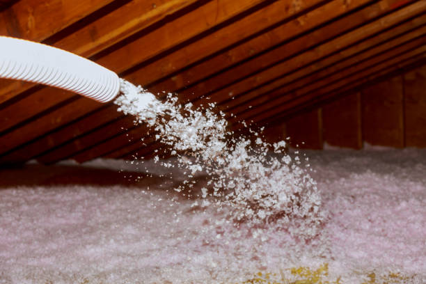 Best Insulation for Commercial Buildings  in Brogden, NC
