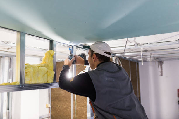 Best Spray Foam Insulation  in Brogden, NC