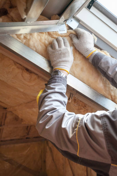 Best Insulation Contractor Near Me  in Brogden, NC