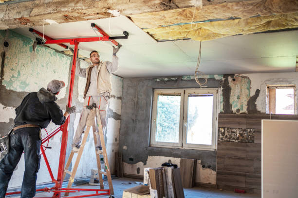 Best Crawl Space Insulation  in Brogden, NC