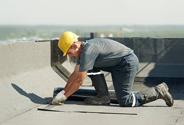 Best Blown-in Insulation  in Brogden, NC