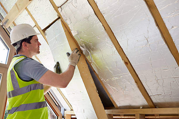 Best Insulation Contractors for Homes  in Brogden, NC