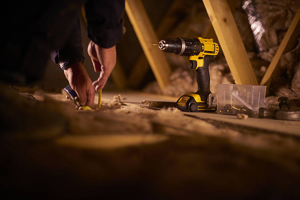 Best Insulation Repair Services  in Brogden, NC