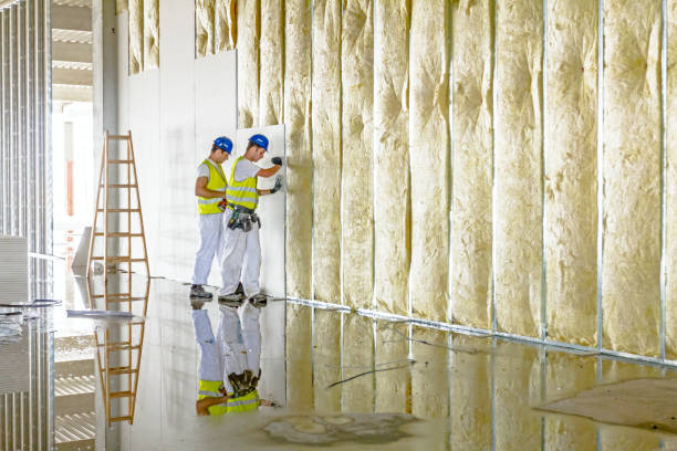 Best Residential Insulation Services  in Brogden, NC